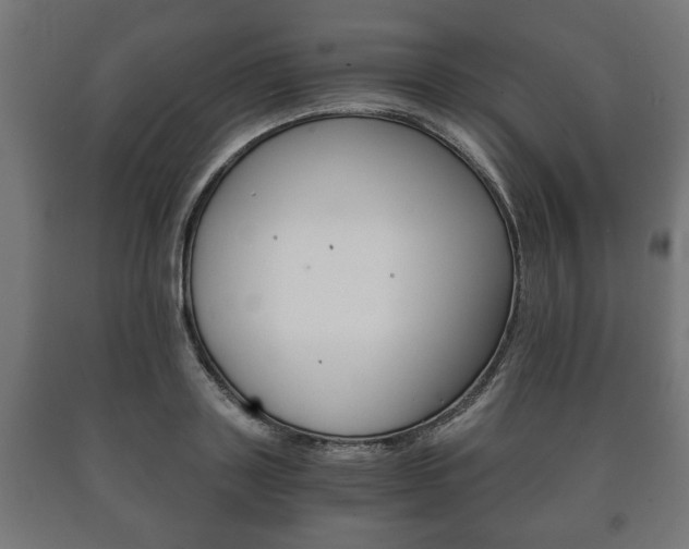 X0000090990843200708021201