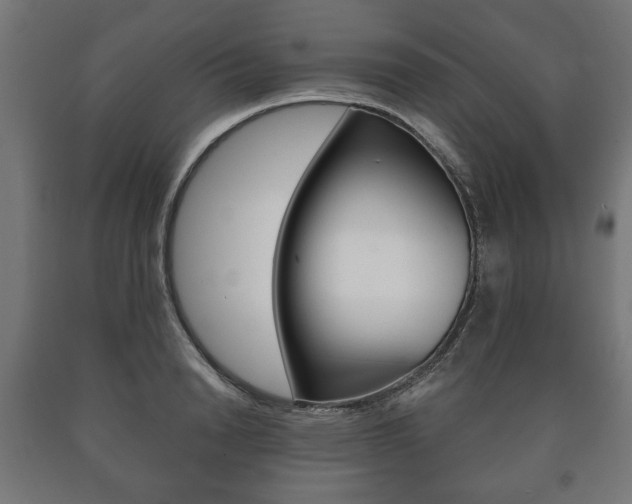 X0000090990846200708021202
