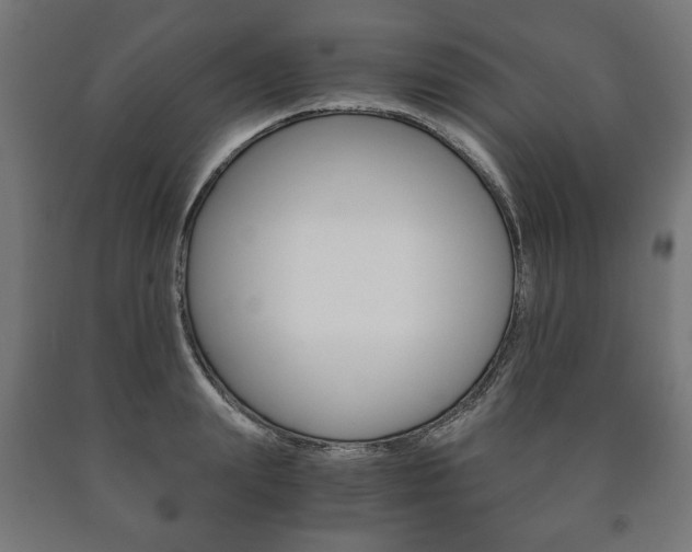 X0000090990847200708021202