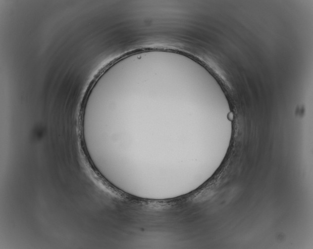 X0000090990848200708021202