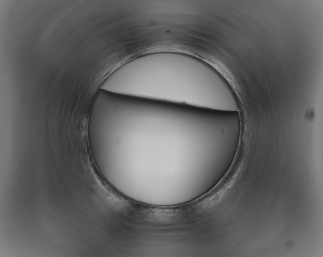 X0000090990849200708021202