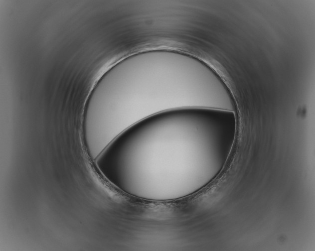 X0000090990850200708021202