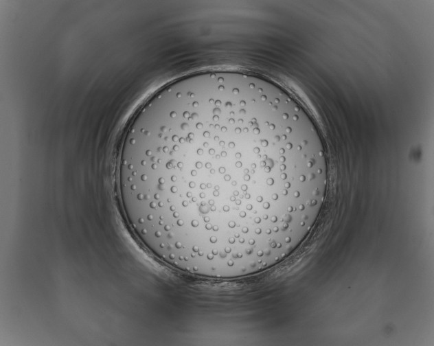 X0000090990851200708021202
