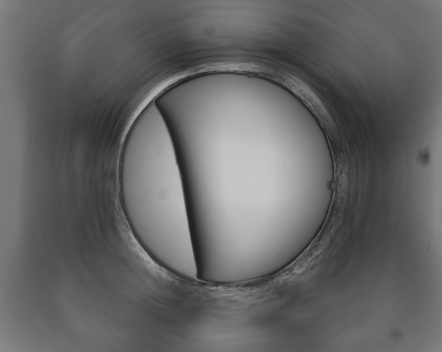 X0000090990852200708021202