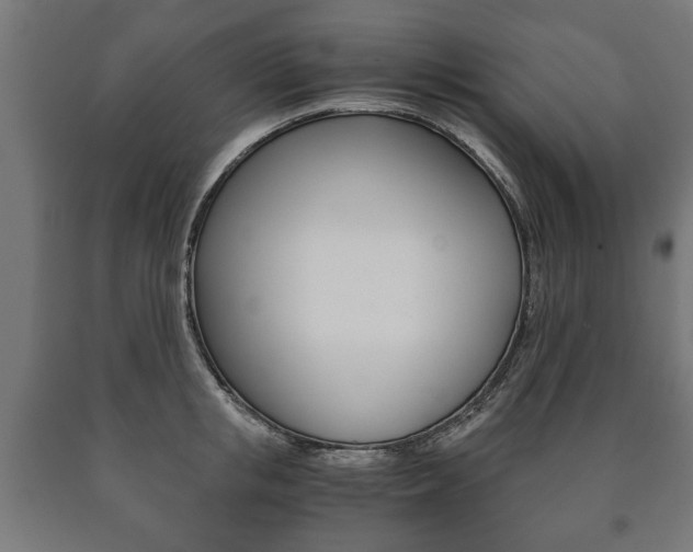 X0000090990853200708021202
