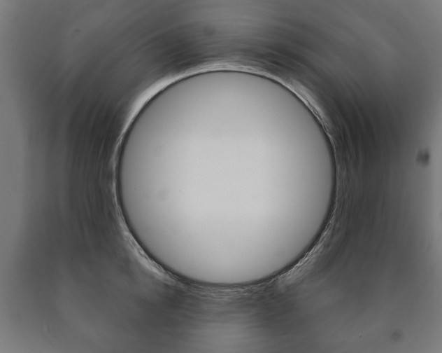 X0000090990854200708021202