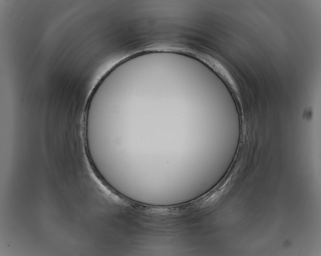 X0000090990855200708021202