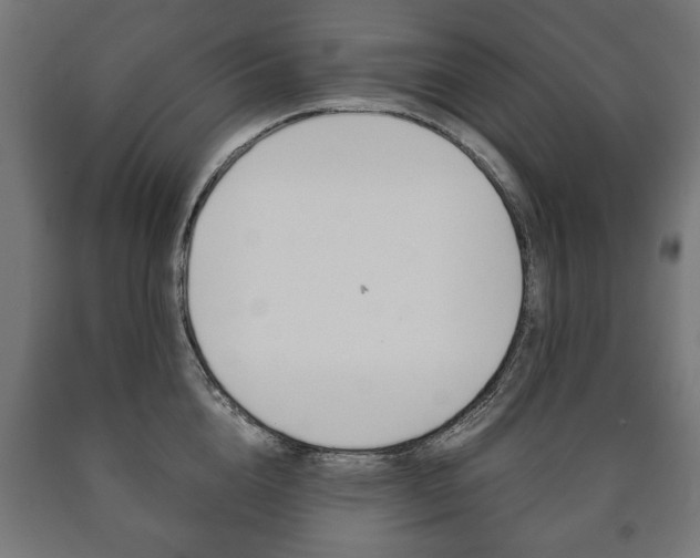 X0000090990856200708021202