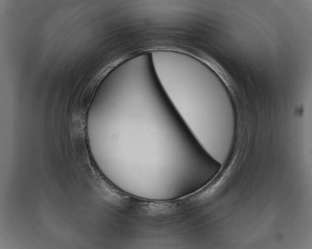 X0000090990857200708021202