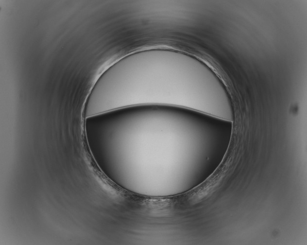 X0000090990858200708021202
