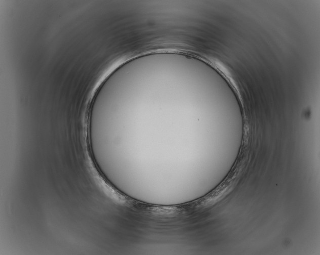 X0000090990859200708021202