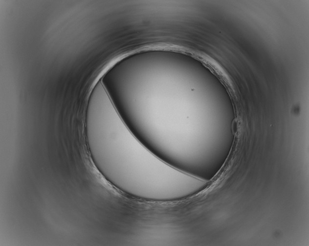 X0000090990860200708021202