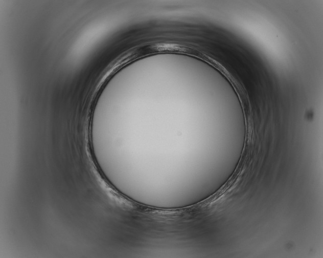 X0000090990861200708021202