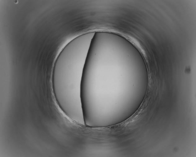 X0000090990863200708021202