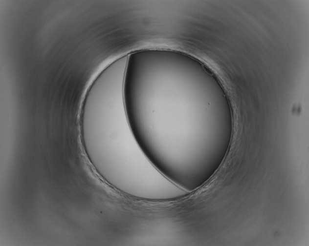 X0000090990864200708021202