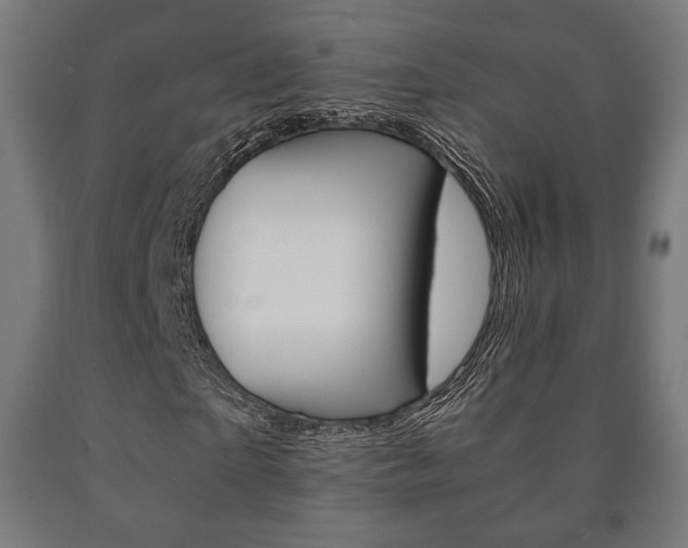 X0000090990865200708021201