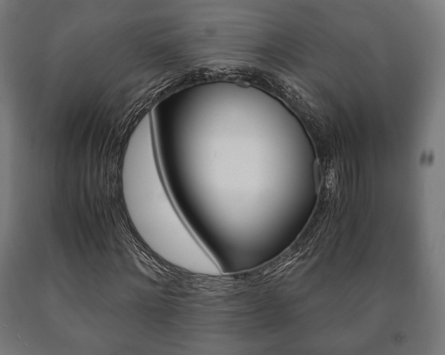 X0000090990868200708021201