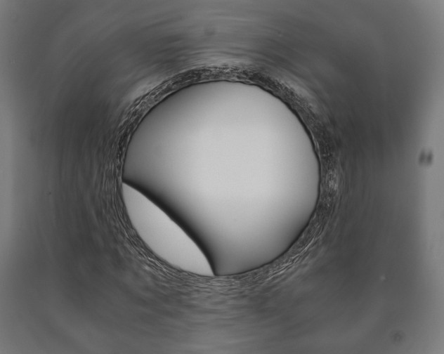 X0000090990869200708021201