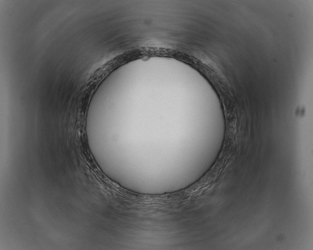 X0000090990870200708021201