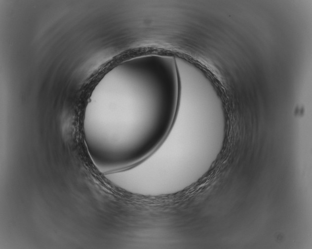 X0000090990872200708021201