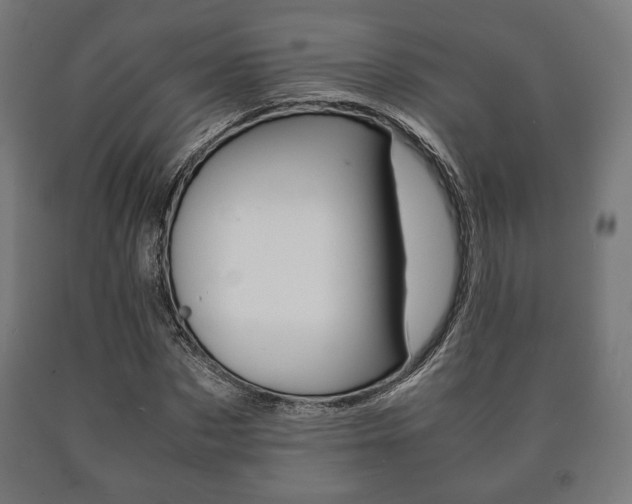 X0000090990873200708021201