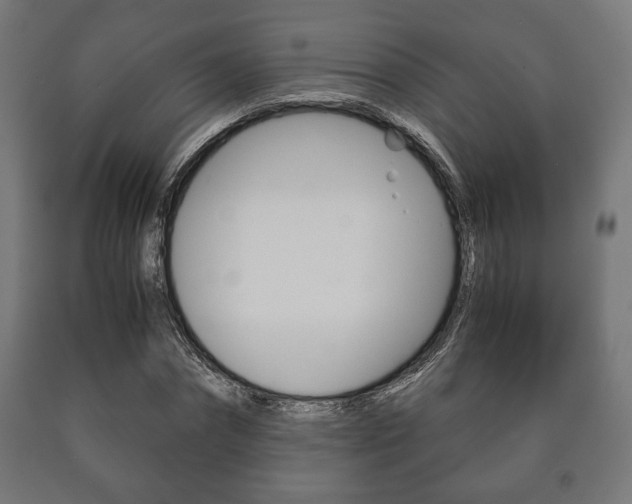 X0000090990874200708021201