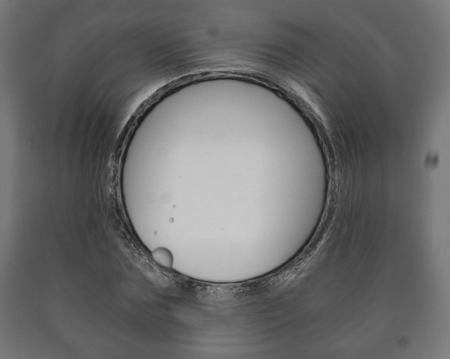 X0000090990875200708021201