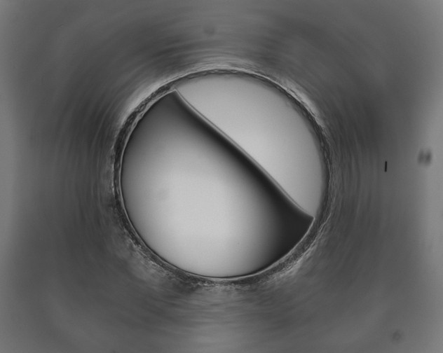 X0000090990877200708021201