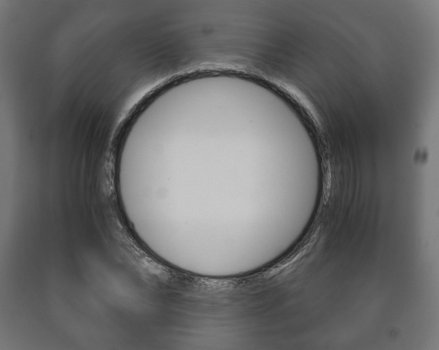 X0000090990878200708021201