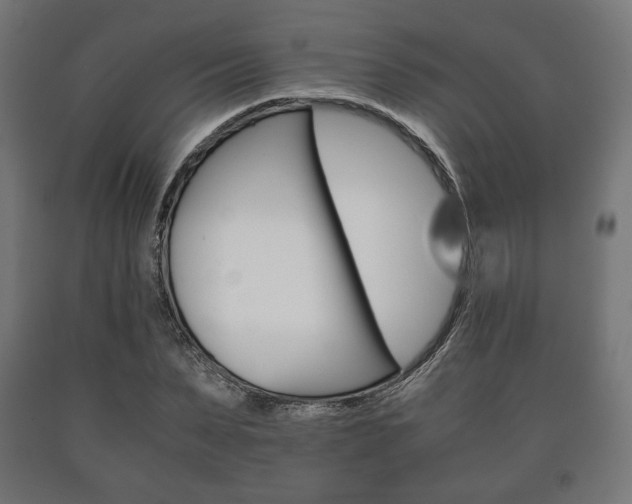X0000090990879200708021201
