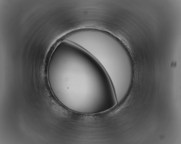 X0000090990880200708021201