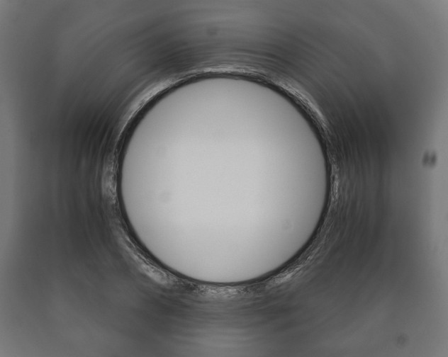 X0000090990882200708021201
