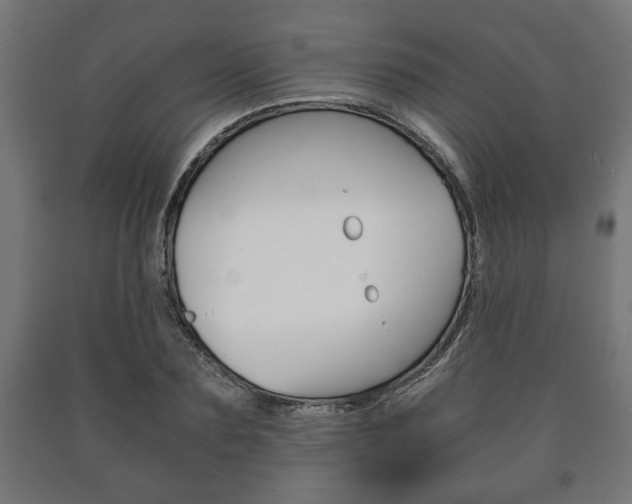X0000090990883200708021201