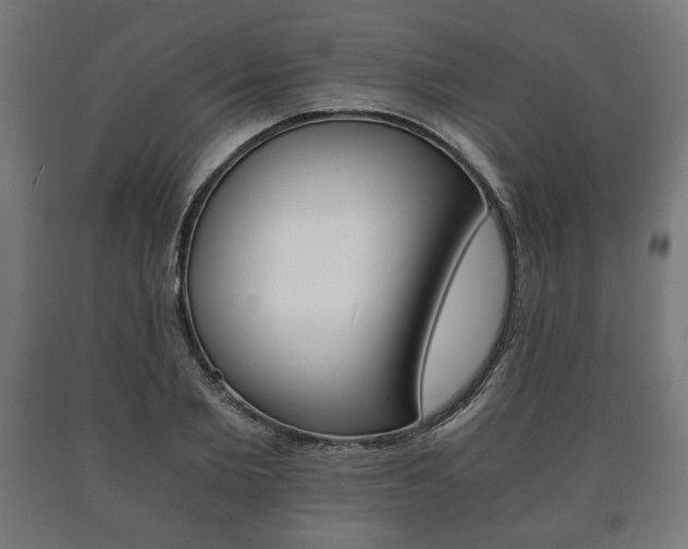 X0000090990885200708021201