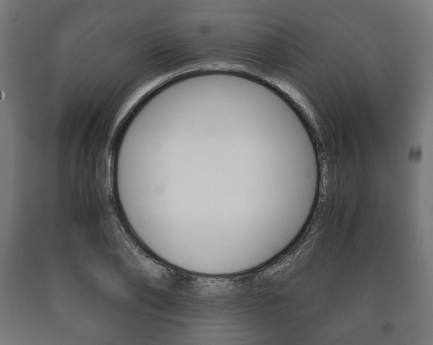 X0000090990886200708021200