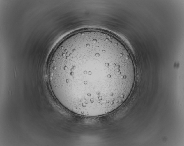 X0000090990887200708021200