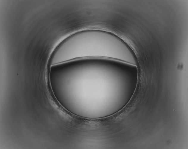 X0000090990888200708021200