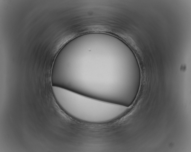 X0000090990889200708021200