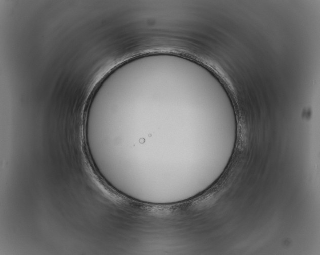 X0000090990890200708021200