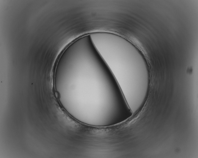X0000090990892200708021200