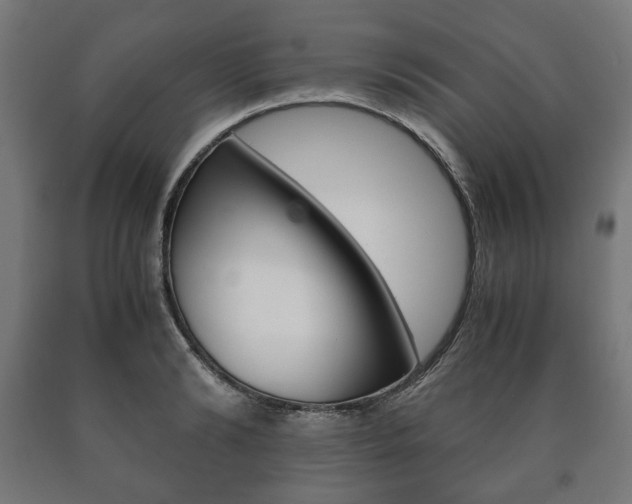 X0000090990894200708021200