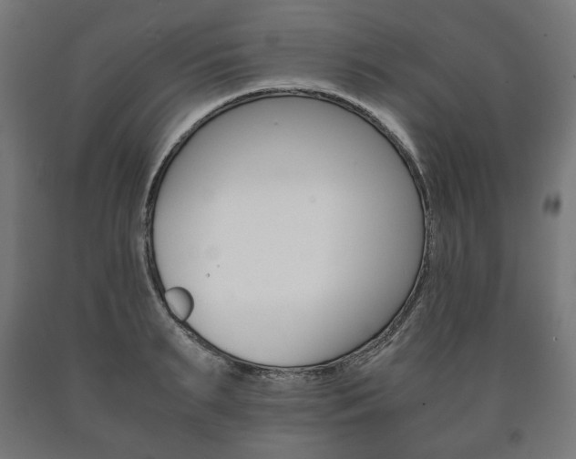 X0000090990895200708021200