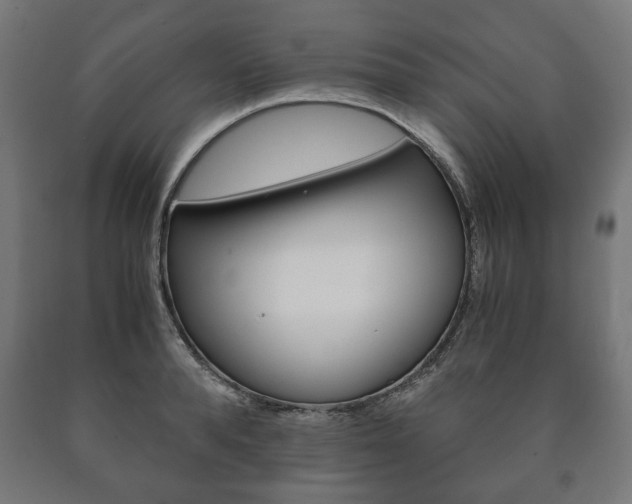 X0000090990896200708021200