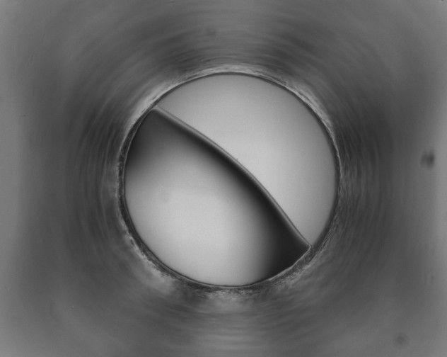X0000090990898200708021200