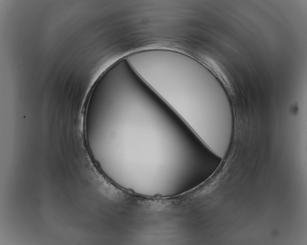 X0000090990900200708021200