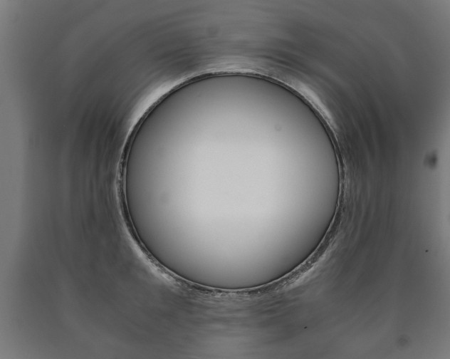 X0000090990901200708021200