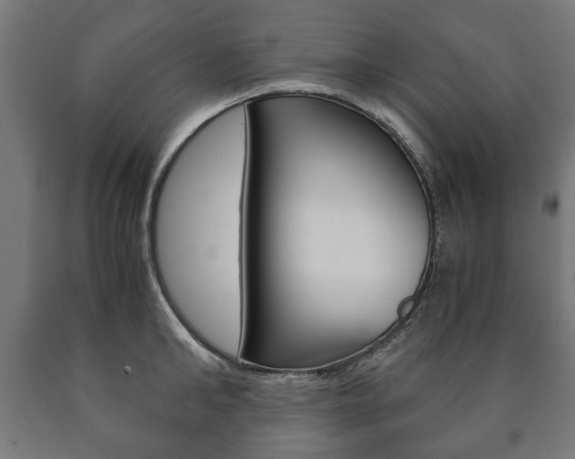 X0000090990902200708021200