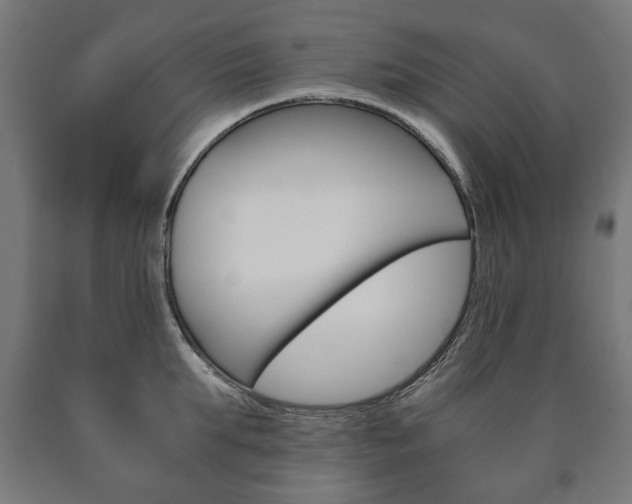 X0000090990903200708021200