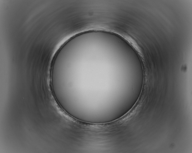 X0000090990904200708021200