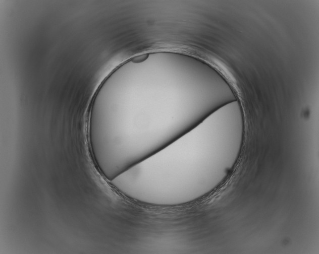 X0000090990907200708021200